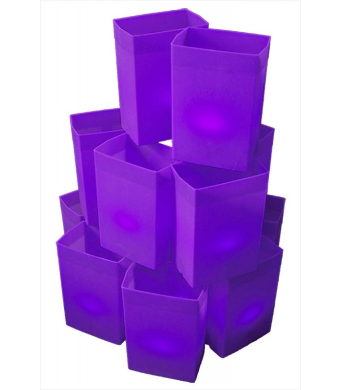 Purple Relay Luminaries